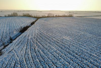 Teren Construcții intravilan de 17800 mp, în Șagului - 9