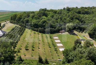 Spațiu comercial, de 56 mp, în Central - 19