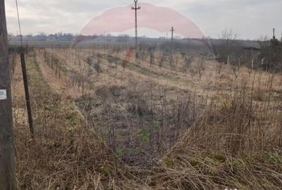 Teren de 2341 mp, în Uileacu de Munte - 1