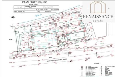 Timisoara Central Teren 6.000mp | Oportunitate | Bdul Vasile Parvan - 2