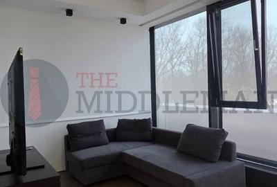 Apartament cu 3 camere, mobilat în Floreasca - 3