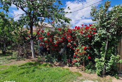 Casă cu 3 camere cu Teren 300 Mp în Militari - 3