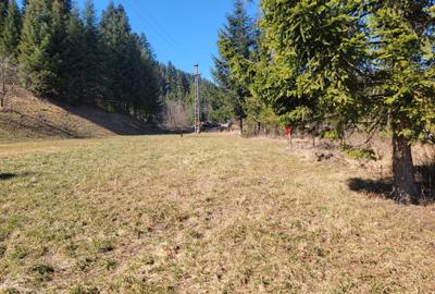 Teren de 4200 mp, în Sucevița