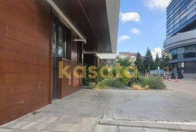 Apartament 4 camere de inchiriat IMA RESIDENCE, Ianc... - 1