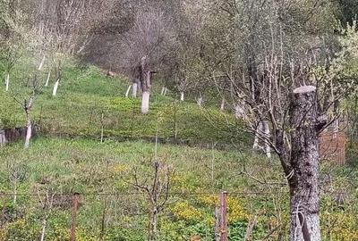 Casă cu 2 camere cu Teren 1628 Mp în Central