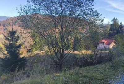 Teren intravilan situat in Predeal-Paraul Rece - 3