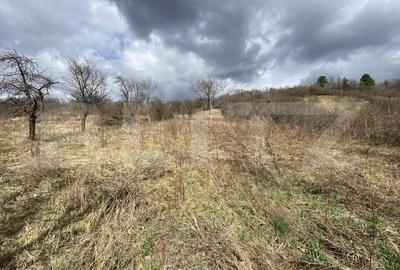 Teren intravilan in suprafata de 2000 mp, zona Episcopiei - 1