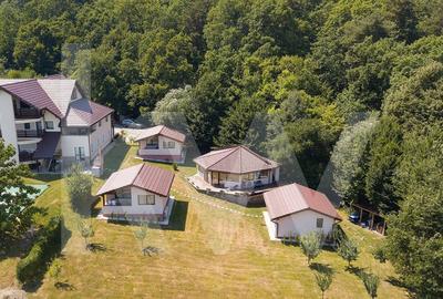 4 Casute de vacanta cu teren de 2000 mp liberi Cisnadioara