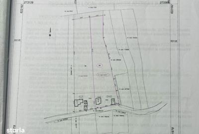 Spațiu comercial, în Podgoria