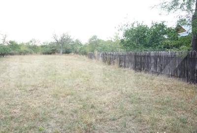 Teren de 1777 mp, în Buda (Ariceștii Rahtivani) - 4