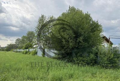 Hala de vanzare | 1.100mp I Boldesti-Scaieni - Randament ... - 16