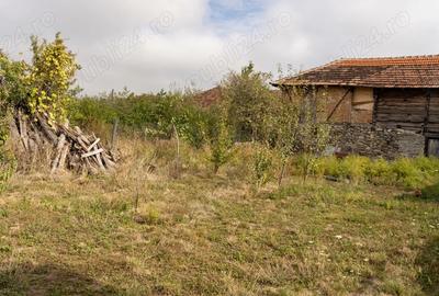 Casa batraneasca de vanzare - 1
