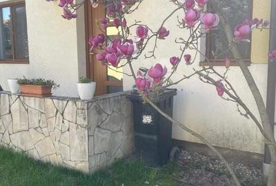 De vanzare casa insiruita Calea Urseni - 7