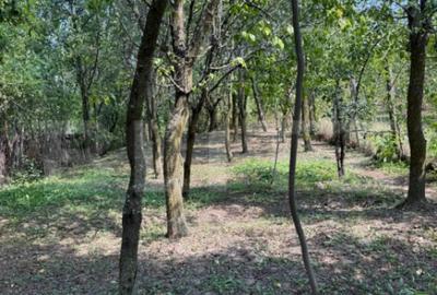 Casă cu 4 camere cu Teren 1053 Mp în Central - 16