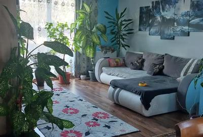 Casă în Topolovățu Mare - 10