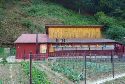 Casă cu 2 camere cu Teren 307 Mp în Criș - 5