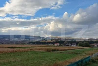 Casa individuala 338 mp, teren 1400 mp, in Mihai Viteazu - 20