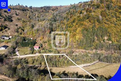 Teren Construcții extravilan de 5000 mp, în Vama - 4