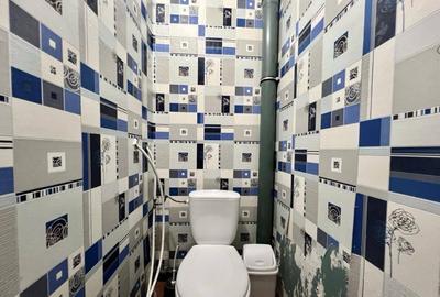 Apartament cu doua camere de inchiriat in zona Colentina - 5