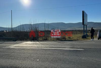 Teren 1250 mp. DN 17 Crainimat - 5