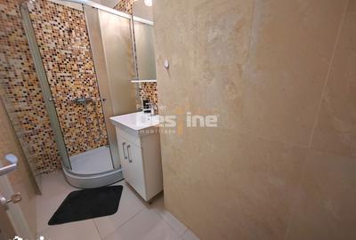 Garsonieră în Ciurea - 8