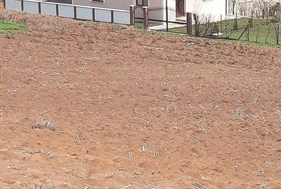 Casa de vanzare din caramida - 2