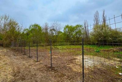 Teren Construcții intravilan de 1000 mp, în Iancu Nicolae - 5