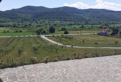 Casă cu 6 camere decomandat cu Teren 19200 Mp în Creaca - 3