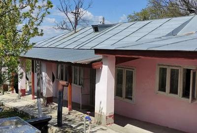 Casă cu 3 camere cu Teren 1000 Mp în Costache Negri - 3