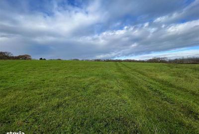 Teren de 5500 mp, în Central - 1