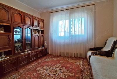 Casa de vanzare, teren mare, intrare auto - Sacadat, Bihor - 16