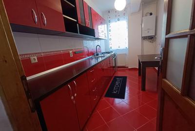 Apartament cu 2 camere decomandat în Turnișor - 5