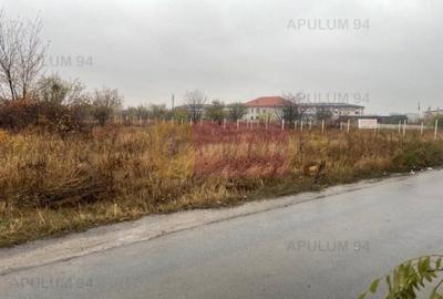 Teren Soseaua Alexandriei- Pasarela Bragadiru. - 1