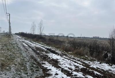 Teren de 26000 mp, în Inand - 6
