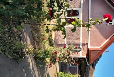 Casă cu 3 camere cu Teren 1600 Mp în Zau de Câmpie - 2