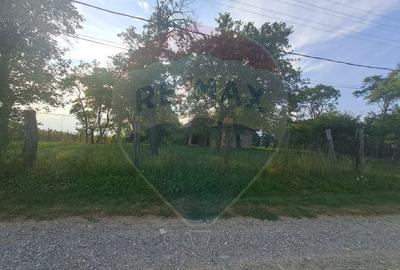 Casă individuală cu 3 camere cu Teren 2000 Mp în Runcu - 12