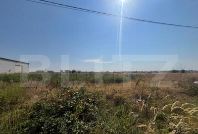 Teren 5000 mp comercial/industrial Calea Bucuresti, zona est - 2