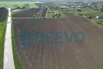 Teren de vanzare, Com. Nicolae Balcescu, Jud. Bacau - 6