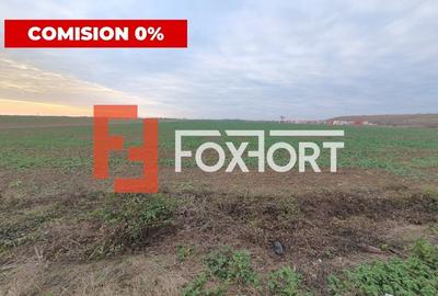 COMISION 0% Teren extravilan agricol 10.000 mp la sosea in Sag - 2