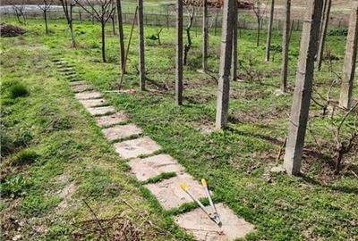 Casă cu 6 camere cu Teren 826 Mp în Pantelimon - 12