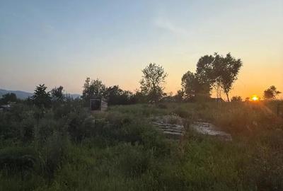 Casă cu 2 camere în Buteni - 8