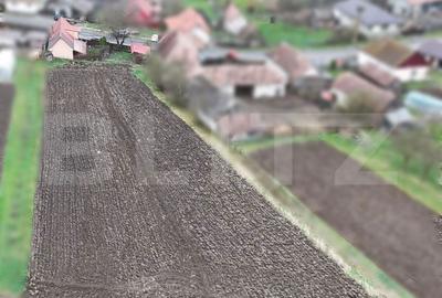 Casă cu 2 camere cu Teren 2300 Mp în Gornești - 9