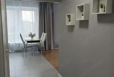 Inchiriere apartament cu 2 camere in zona Jiului - 2