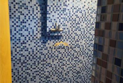 CASA CU ETAJ - BUCOVINA - 3