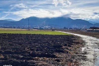 Teren de 3500 mp, în Movilei - 8