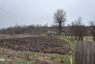 Teren de 2038 mp, în Ghercești - 17