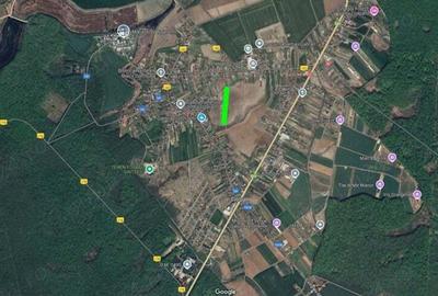 Teren Intravilan 5000 mp in Ciolpani Inchiriere - 1