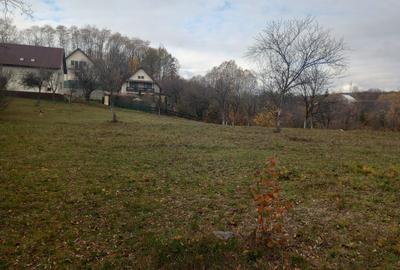 Teren intravilan Drajna 4062mp - 12