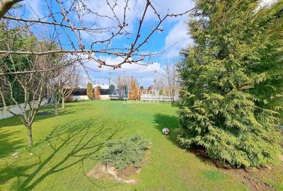 For Sale/Vila P M   Casa Parter/curte, parcare/pozitie centrala For Sale/Vila P M   Casa Parter/curte, parcare/pozitie centrala - 4