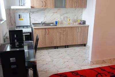 Garsonieră în Poenari - 7